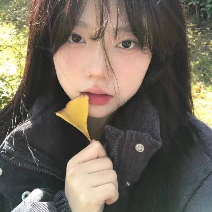 柏林谍影